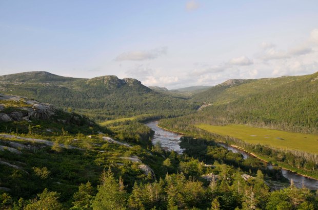 The Morgan River, in Hare Bay.