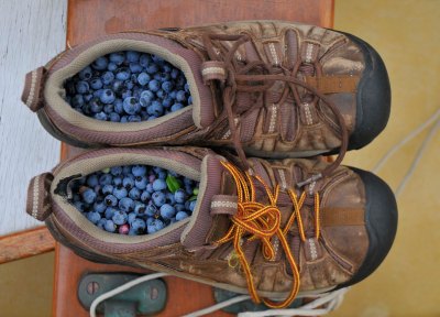 Jess' shoes filled with blueberries