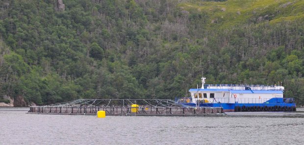 Fish pen with the support barge.